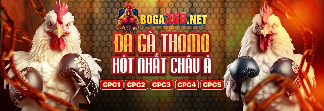 Đá Gà Trực Tuyến Hấp Dẫn tại AV88